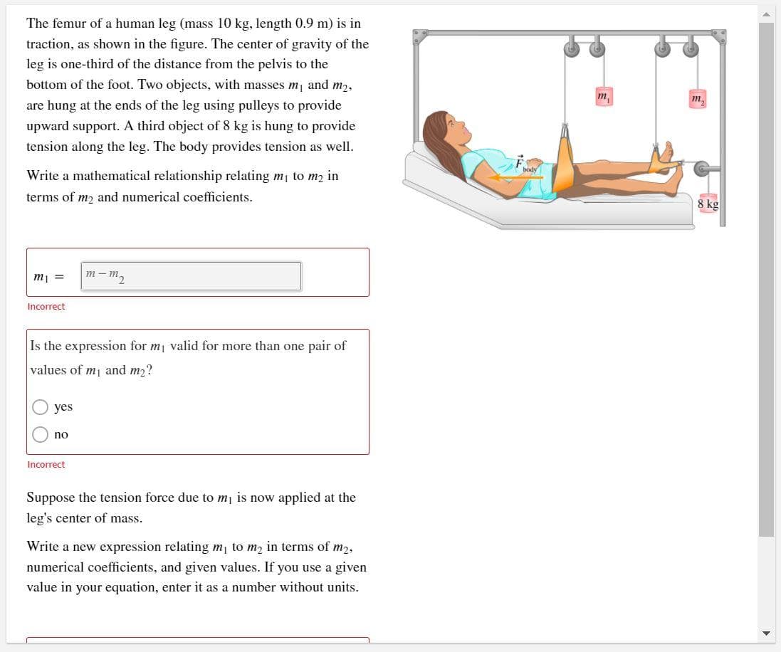 The femur of a human leg (mass 10 kg, length 0.9 m) is in
traction, as shown in the figure. The center of gravity of the
leg is one-third of the distance from the pelvis to the
bottom of the foot. Two objects, with masses mj and m2,
m,
are hung at the ends of the leg using pulleys to provide
upward support. A third object of 8 kg is hung to provide
tension along the leg. The body provides tension as well.
body
Write a mathematical relationship relating mi to m2 in
terms of m2 and numerical coefficients.
8 kg
mj =
m- m2
Incorrect
Is the expression for m1 valid for more than one pair of
values of mj and m2?
yes
no
Incorrect
Suppose the tension force due to mj is now applied at the
leg's center of mass.
Write a new expression relating m, to m2 in terms of m2,
numerical coefficients, and given values. If you use a given
value in your equation, enter it as a number without units.
