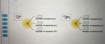 15
16
31
20
116
194
1941
P
Number of protons (p)
Number of electrons (e)
Number of neutrons (nº)
Number of protons (p)
000
Number of electrons (e)
Number of neutrons (n)