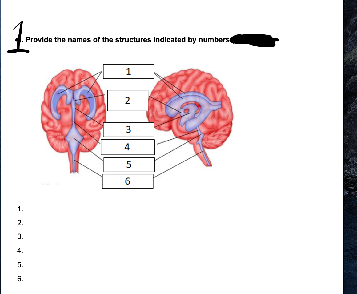 1
Provide the names of the structures indicated by numbers
1.
2.
3.
4.
5.
6.
1
2
3
4
5
6