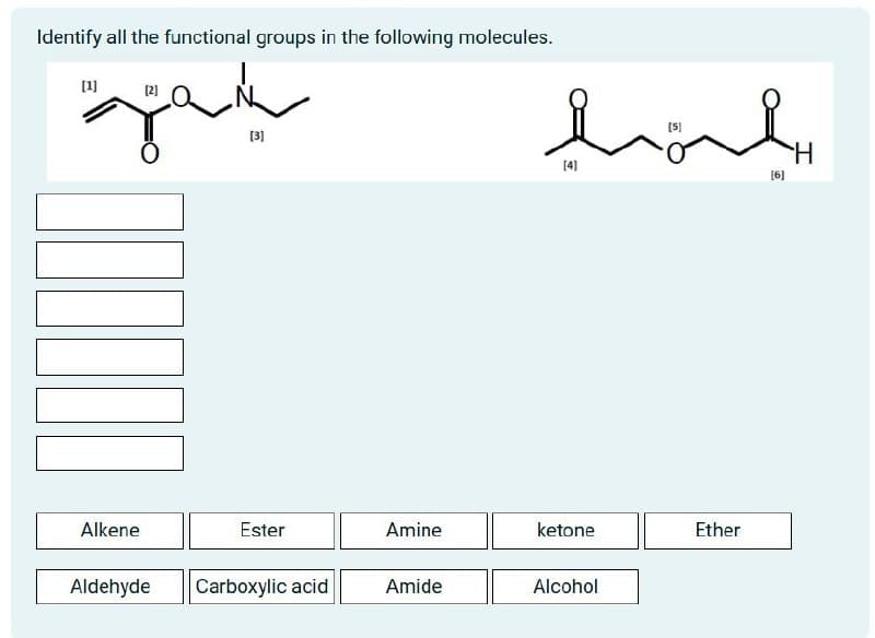 Identify all the functional groups in the following molecules.
سياسة
[3]
H
[4]
[6]
Alkene
Ester
Amine
ketone
Ether
Aldehyde
Carboxylic acid
Amide
Alcohol