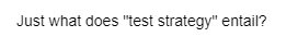 Just what does "test strategy" entail?