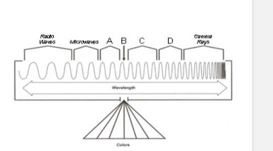 Rado
Waves
AAcronees A B C
Rays
www
Wavelengh
Colora
