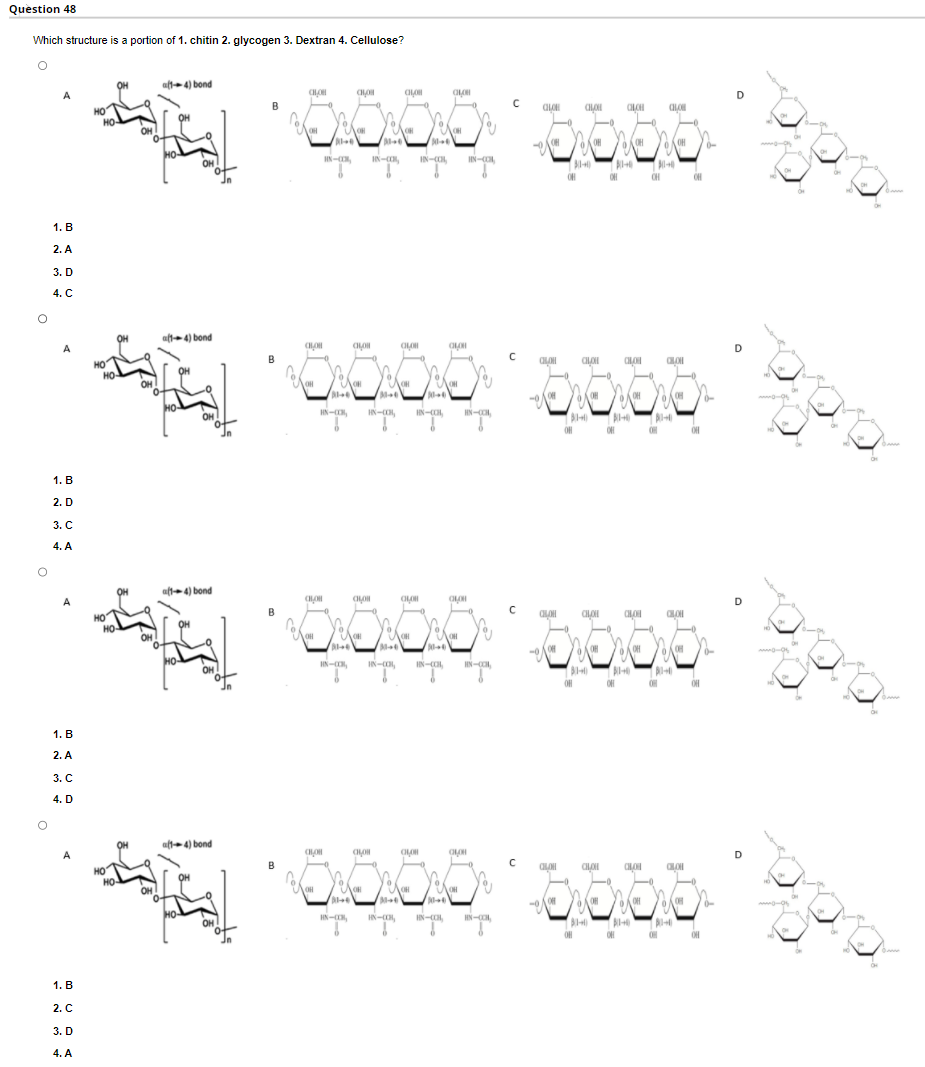 Question 48
Which structure is a portion of 1. chitin 2. glycogen 3. Dextran 4. Cellulose?
OH
aft4) bond
A
HO
HO
B
D
OH
OH
IN-,
IN-CO.
IN-COL
IN-CO
1. B
2. A
3. D
4. C
aft4) bond
HO
HO
D
OH
OH
HN-ON,
IN-CO,
IN-CO,
1. B
2. D
3. С
4. A
aft+4) bond
ప్రి శి్
A
HO
HO
D
OH
OH
IN-O,
IN-CO,
IN-CO,
IN-CO
1. B
2. A
3. C
4. D
aft4) bond
A
HO
B
HỌ
OH
OH
OH
HN-O,
IN-O,
IN-CO
1. B
2. С
3. D
4. A
