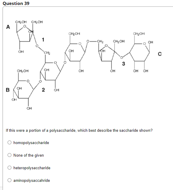 Question 39
CHOH CHOH
A
CHOH
CHOH
CH2
CHOH
он
CH
CH
3
OH
CHOH
OH
OH
OH
OH
OH
в
2
OH
CH
If this were a portion of a polysaccharide, which best describe the saccharide shown?
homopolysaccharide
None of the given
heteropolysaccharide
aminopolysaccahride
