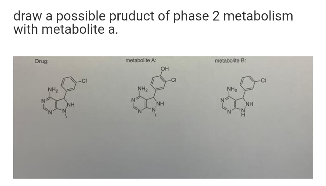 draw a possible pruduct of phase 2 metabolism
with metabolite a.
Drug:
metabolite A:
metabolite B:
OH
CI
-CI
NH2
NH2
NH2
NH
NH
NH
