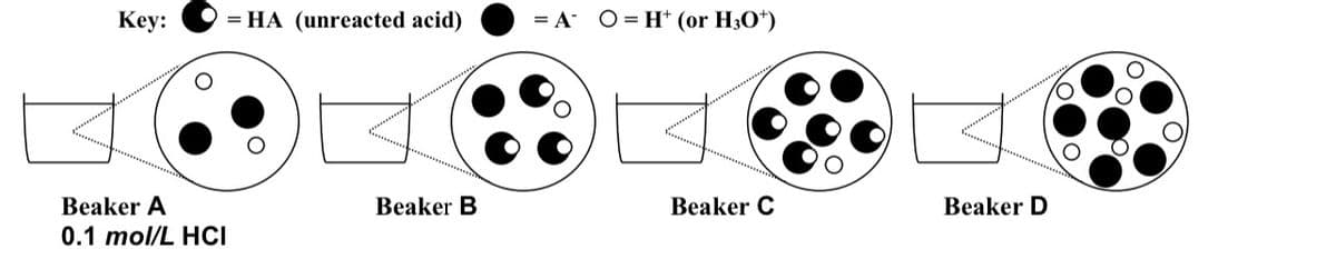 Key:
= HA (unreacted acid)
= A
O = H* (or H3O*)
Beaker A
Beaker B
Beaker C
Beaker D
0.1 mol/L HCI
