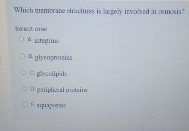 Which membrane structures is largely involved in osmosis?
Select one:
O A. integrins
O B. glycoproteins
O C. glycolipids
O D. peripheral proteins
O E. aquaporins
