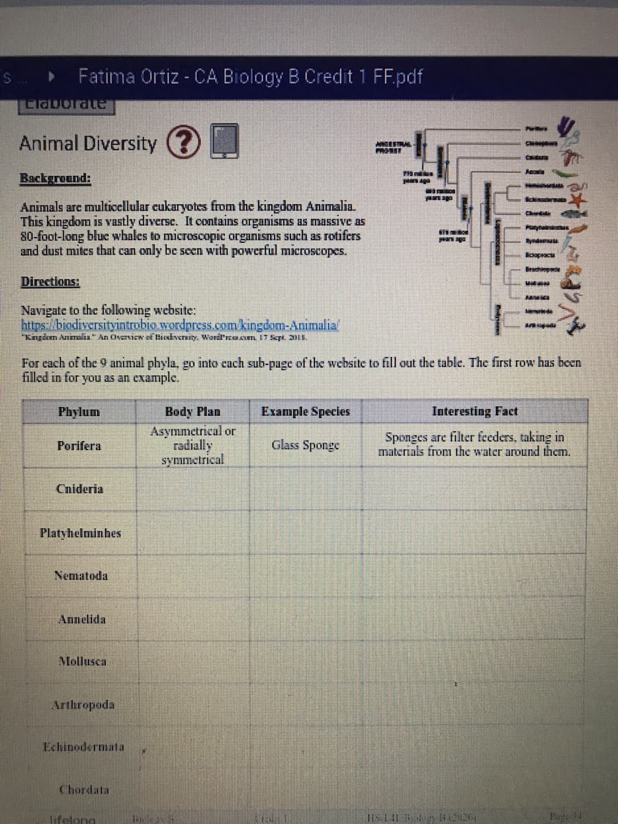 Fatima Ortiz - CA Biology B Credit 1 FF.pdf
Llaborate
Animal Diversity
ESTR
Background:
Animals are multicellular eukaryotes from the kingdom Animalia.
This kingdom is vastly diverse. It contains organisms as massive as
So-foot-long bluc whales to microscopic organisms such as rotifers
and dust mites that can only be seen with powerful microscopes.
olle enl
Chrde
ikapacu
pedonn
Directions:
Navigate to the following website:
https:/bindiversityintrobio.wordpres.com kingdom-Animalia
"kngian Anmalia An Ovenicw XBiodyersity, Wardrcu.cn 17 Spt 2.
Me
For cach of the 9 animal phyla, go into cach sub-page of the website to fill out the table. The first row has been
filled in for you as an cxample.
Body Plan
Asymmetrical or
radially
symmetrical
Phylum
Example Species
Interesting Fact
Sponges are filter feeders, taking in
materials from the water around them.
Porifera
Glass Sponge
Cnideria
Platyhelminhes
Nematoda
Annelida
Mollusca
Arthropoda
Echinodermata
Chordata
lifelong
