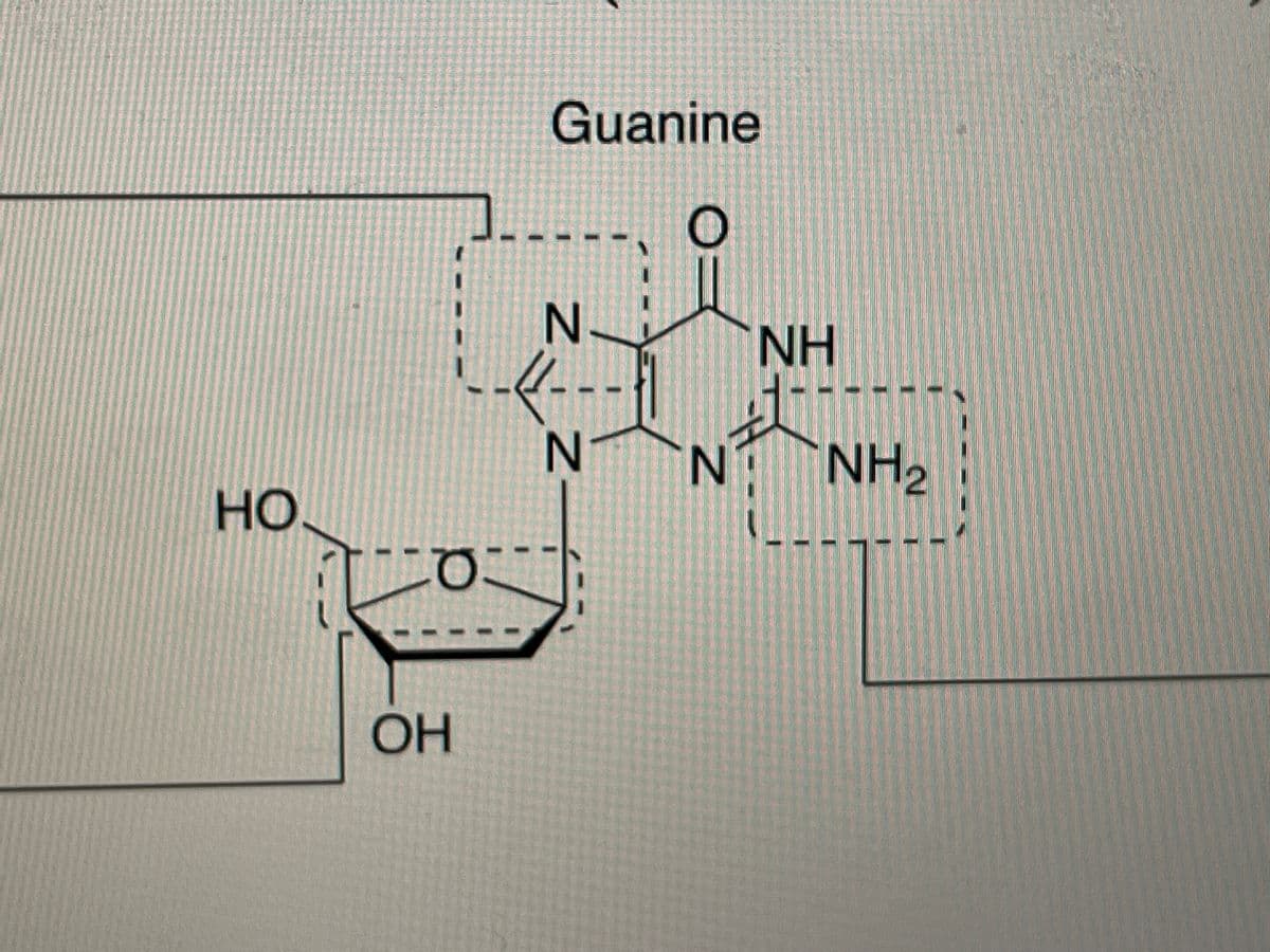 Guanine
N.
NH
N
N'
NH2
но
он
