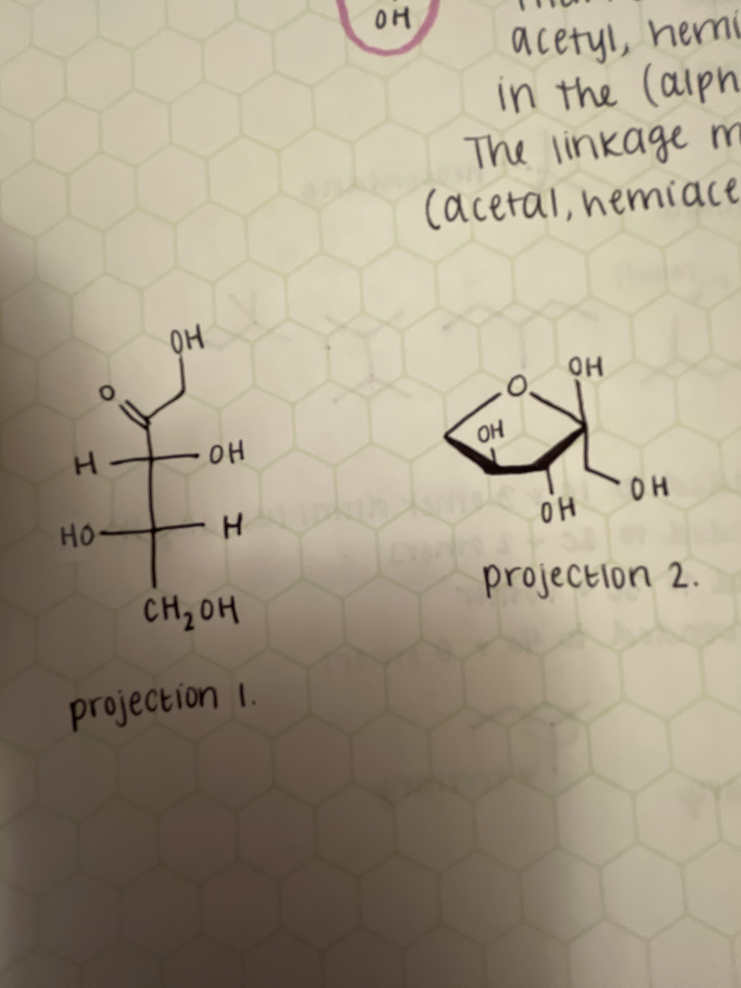 NO
projection 1.
projectlon 2.
HO
но
H.
HO-
но
но
H-
но
HÔ
(acetal,nemiace
The
udpm
linkage m
acetyl, hemi
HO
in the (alph
