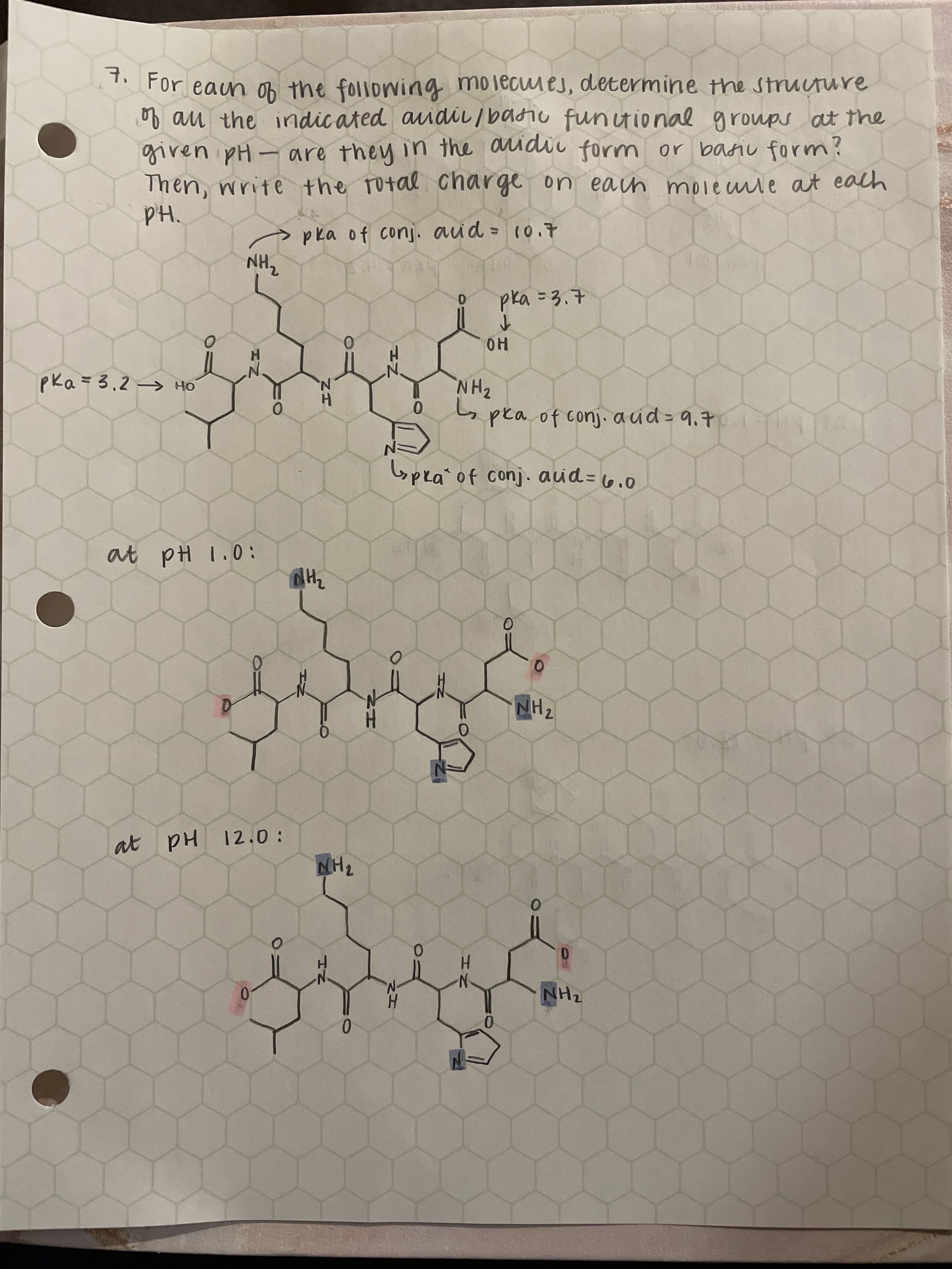 HN
0.
0.
D.
H.
HN
Hd
12.0:
at
0.
NH2
HN
at pH 1.0:
pra* of conj. aud=6.0
pea of conj. a úd = 9,7
0.
0.
NH2
HO
HN
pka of conj. aid = 10.7
H.
Then, write the rotal charge on eain moleuie at each
given pH- are they in the audic form or baiu form?
of au the indic ated audii /batiu funitional groups at the
For eaun ob the following molecues, determine the structure
