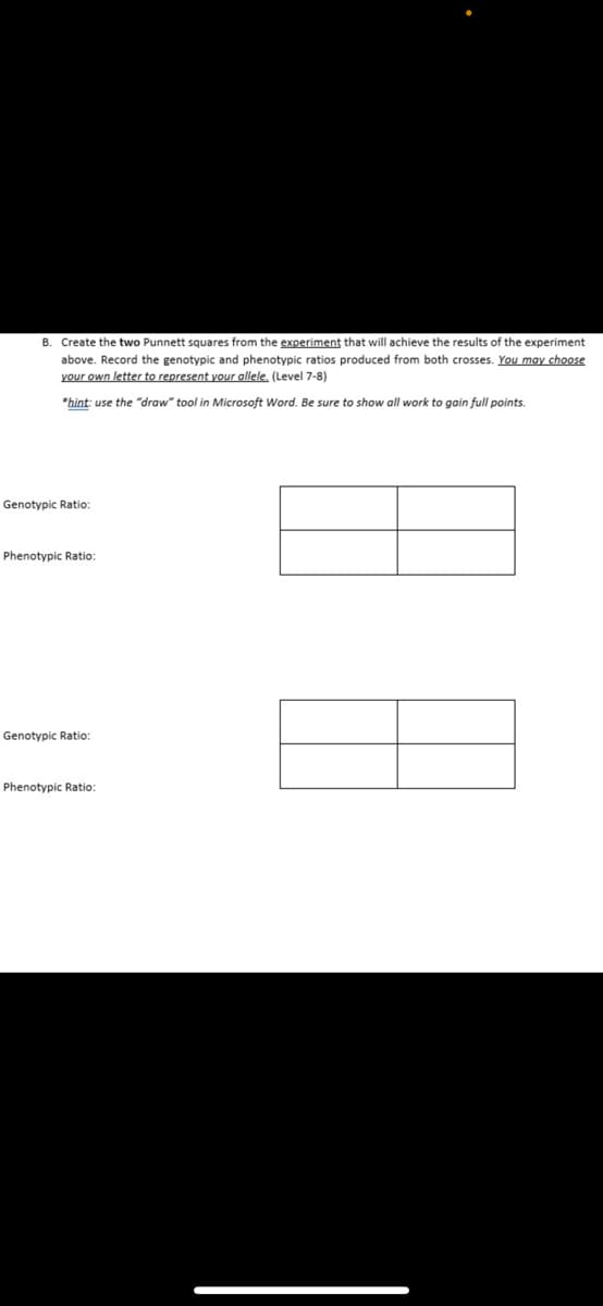 B. Create the two Punnett squares from the experiment that will achieve the results of the experiment
above. Record the genotypic and phenotypic ratios produced from both crosses. You may choose
your own letter to represent your allele. (Level 7-8)
*hint: use the "draw" tool in Microsoft Word. Be sure to show all work to gain full points.
Genotypic
Phenotypic Ratio:
Genotypic Ratio:
Phenotypic Ratio:
