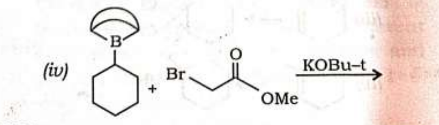 (iv)
+
Br.
КОBu-t
OMe