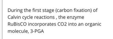 During the first stage (carbon fixation) of
Calvin cycle reactions , the enzyme
RuBisCO incorporates CO2 into an organic
molecule, 3-PGA
