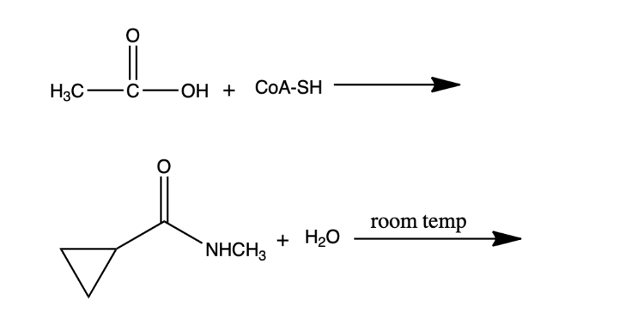 O
H3C C
O
OH + COA-SH
NHCH3
+ H₂O
room temp