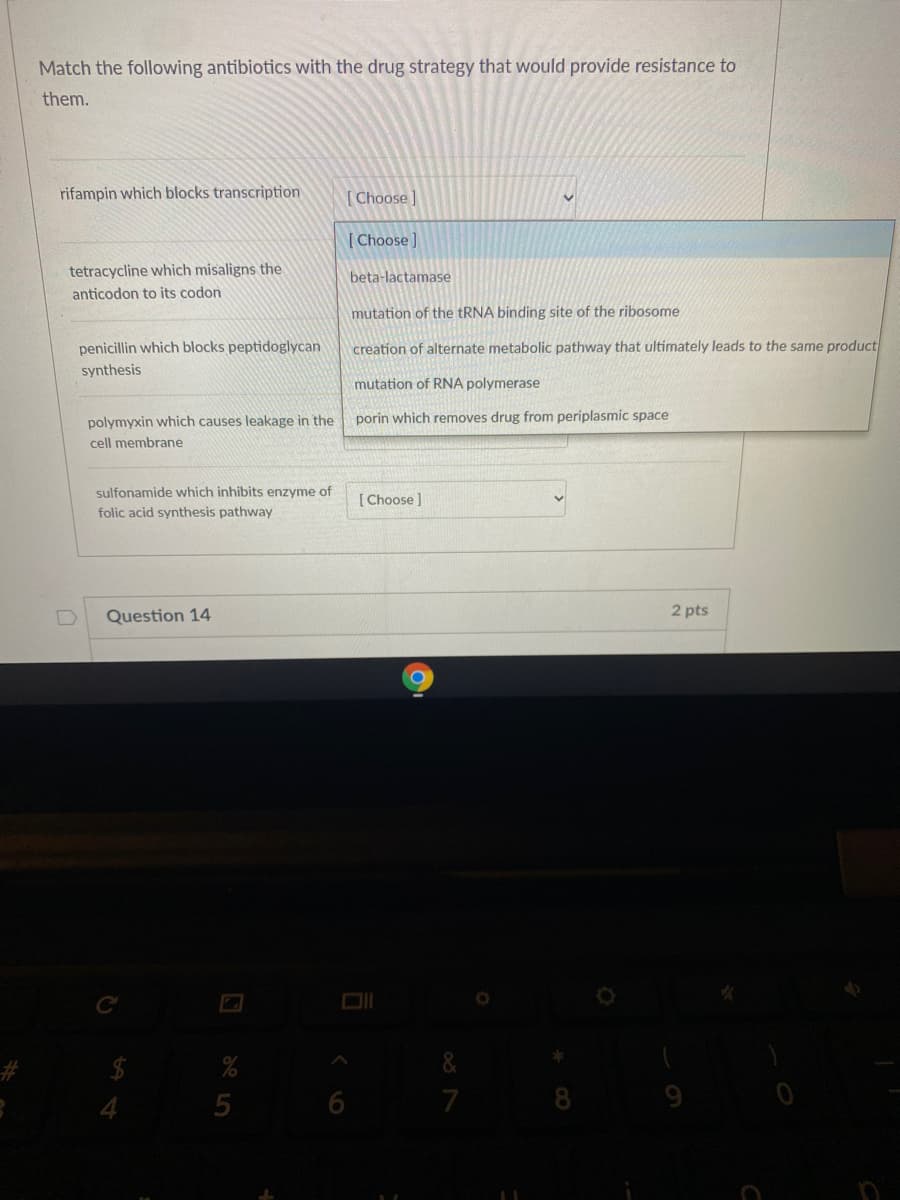 Match the following antibiotics with the drug strategy that would provide resistance to
them.
rifampin which blocks transcription
[ Choose ]
Choose]
tetracycline which misaligns the
beta-lactamase
anticodon to its codon
mutation of the TRNA binding site of the ribosome
penicillin which blocks peptidoglycan
creation of alternate metabolic pathway that ultimately leads to the same product
synthesis
mutation of RNA polymerase
polymyxin which causes leakage in the
porin which removes drug from periplasmic space
cell membrane
sulfonamide which inhibits enzyme of
[Choose ]
folic acid synthesis pathway
Question 14
2 pts
%
&
5
7

