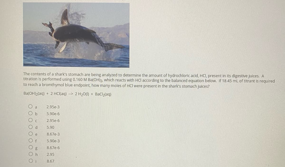 The contents of a shark's stomach are being analyzed to determine the amount of hydrochloric acid, HCI, present in its digestive juices. A
titration is performed using 0.160 M Ba(OH),, which reacts with HCl according to the balanced equation below. If 18.45 mL of titrant is required
to reach a bromthymol blue endpoint, how many moles of HCI were present in the shark's stomach juices?
Ba(OH)2(aq) + 2 HCl(aq) --> 2 H20(1) + Bacl>(aq)
O a
2.95e-3
O b
5.90e-6
2.95e-6
O d
5.90
e
8.67e-3
O f
5.90e-3
O g
O h
8.67e-6
2.95
Oi
8.67
