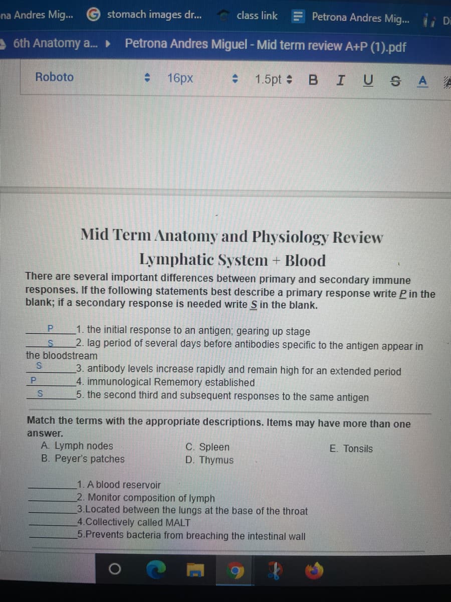 -na Andres Mig...
stomach images dr...
class link
Petrona Andres Mig...
Di
6th Anatomy a.
Petrona Andres Miguel - Mid term review A+P (1).pdf
Roboto
16px
1.5pt
IUS
A A
Mid Term Anatomy and Physiology Review
Lymphatic System + Blood
There are several important differences between primary and secondary immune
responses. If the following statements best describe a primary response write Pin the
blank; if a secondary response is needed write S in the blank.
1. the initial response to an antigen; gearing up stage
2. lag period of several days before antibodies specific to the antigen appear in
P.
the bloodstream
3. antibody levels increase rapidly and remain high for an extended period
4. immunological Rememory established
5. the second third and subsequent responses to the same antigen
P
Match the terms with the appropriate descriptions. Items may have more than one
answer.
A. Lymph nodes
B. Peyer's patches
C. Spleen
D. Thymus
E. Tonsils
1. A blood reservoir
2. Monitor composition of lymph
3.Located between the lungs at the base of the throat
4.Collectively called MALT
5.Prevents bacteria from breaching the intestinal wall
