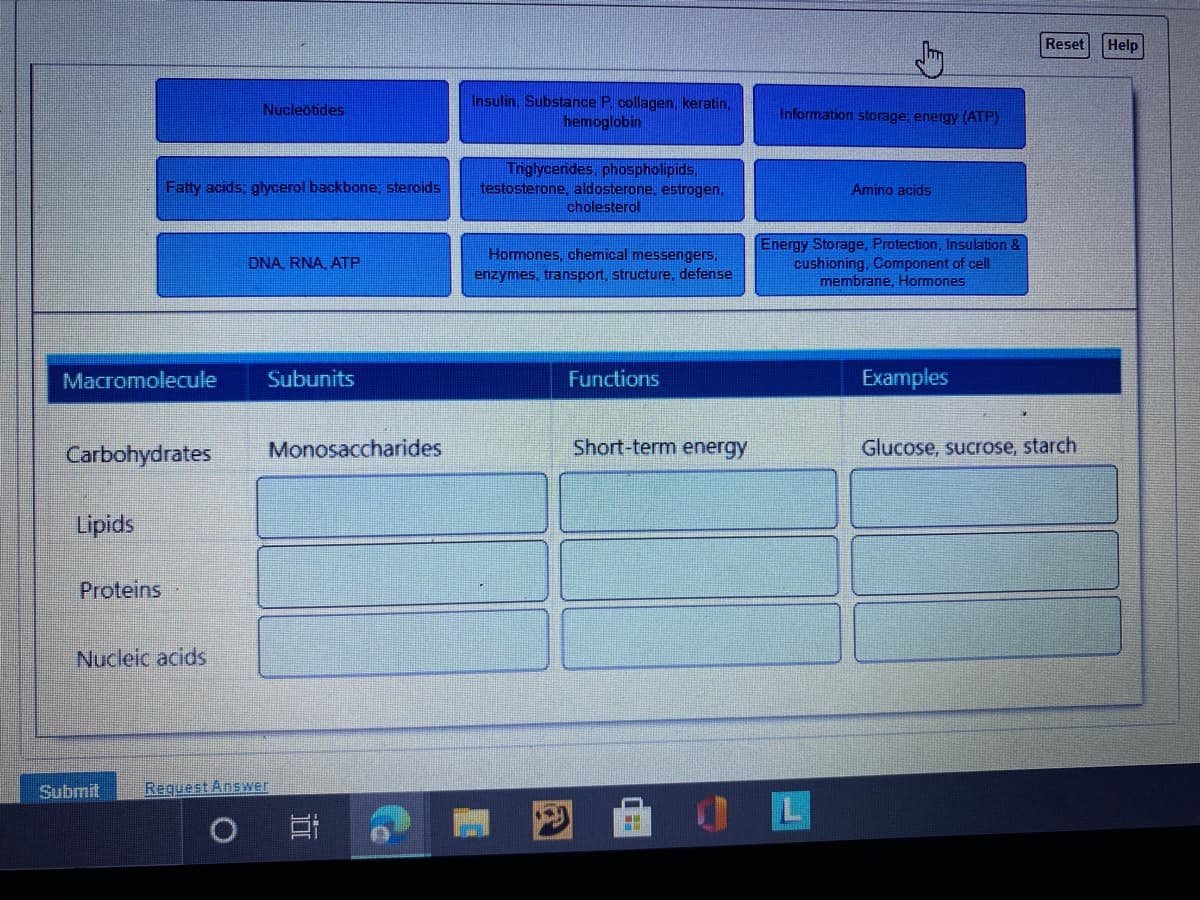Reset
Help
Insulin, Substance P. collagen, keratin,
hemoglobin
Nucleotides
Information storage; energy (ATP)
Triglycerides, phospholipids,
testosterone, aldosterone, estrogen,
cholesterol
Fatty acids; glycerol backbone; steroids
Amino acids
Energy Storage, Protection, Insulation &
cushioning, Component of cell
membrane, Hormones
Hormones, chemical messengers,
DNA, RNA, ATP
enzymes, transport, structure, defense
Macromolecule
Subunits
Functions
Examples
Carbohydrates
Monosaccharides
Short-term energy
Glucose, sucrose, starch
Lipids
Proteins
Nucleic acids
Submit
Request Answer

