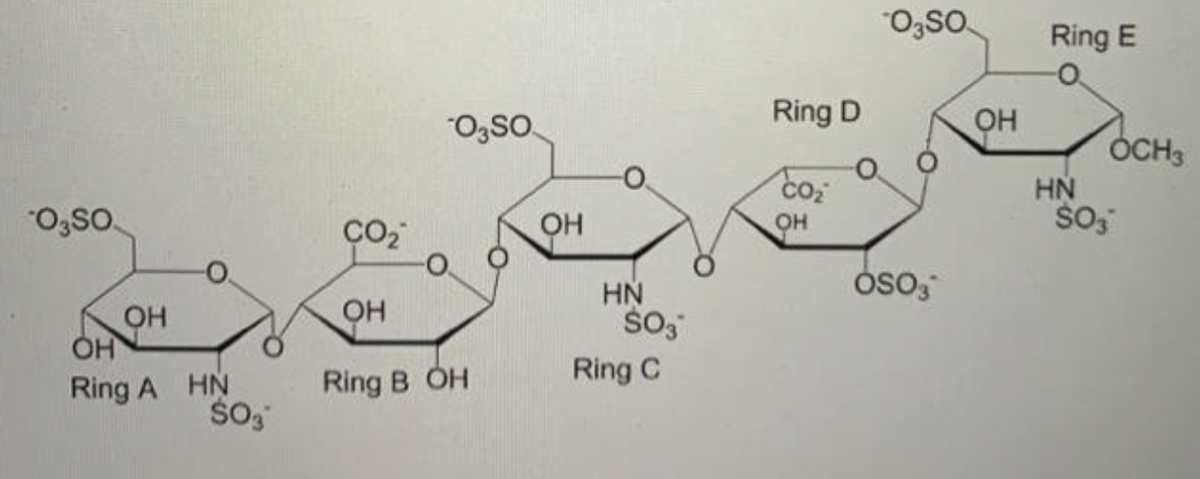 "O;SO.
Ring E
Ring D
"O3SO.
ÓCH3
HN
O3so.
ÇO2
OH
HN
Oso,
он
он
Ring A HN
Ring B OH
Ring C
