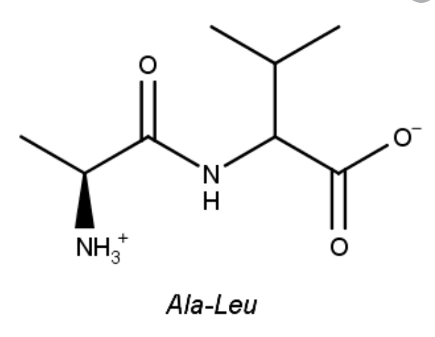 N.
NH,
+
Ala-Leu
ZI
