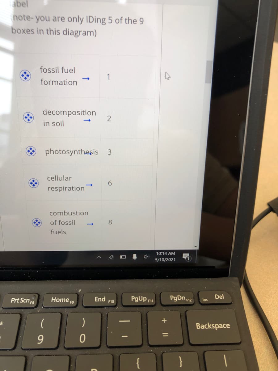 abel
note-you are only IDing 5 of the 9
boxes in this diagram)
fossil fuel
1
formation
decomposition
in soil
photosynthesis 3
cellular
6.
respiration
combustion
of fossil
8.
fuels
10:14 AM
5/10/2021
Prt Scn F8
Home F9
End
F10
PgUp F11
PgDn F12
Del
Ins
+
Backspace
%3D
9.
}
