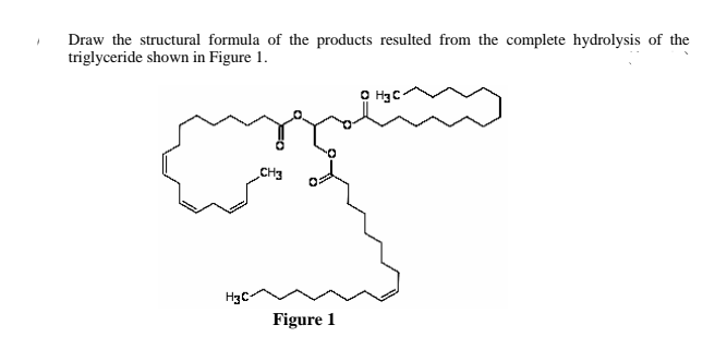 Draw the structural formula of the products resulted from the complete hydrolysis of the
triglyceride shown in Figure 1.
CH3
HgC-
Figure 1
