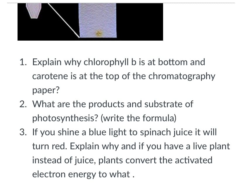 1. Explain why chlorophyll b is at bottom and
carotene is at the top of the chromatography
paper?
2. What are the products and substrate of
photosynthesis? (write the formula)
3. If you shine a blue light to spinach juice it will
turn red. Explain why and if you have a live plant
instead of juice, plants convert the activated
electron energy to what .
