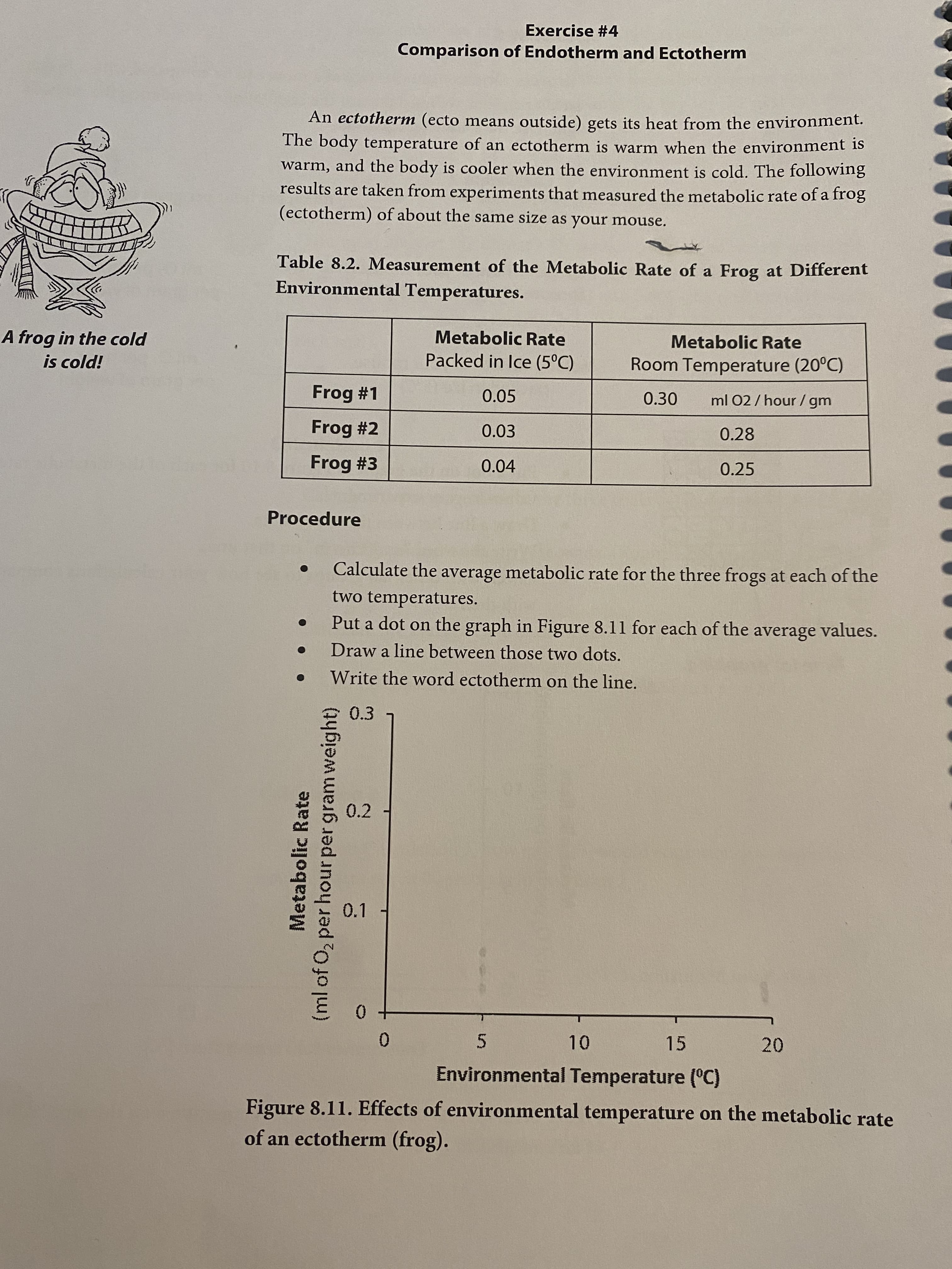 Table 8.2. Measurement of the Metabolic Rate of a Frog at Different
Environmental Temperatures.
Metabolic Rate
Metabolic Rate
Packed in Ice (5°C)
Room Temperature (20°C)
Frog #1
0.05
0.30
ml 02/ hour / gm
Frog #2
0.03
0.28
Frog #3
0.04
0.25
Procedure
Calculate the average metabolic rate for the three frogs at each of the
two temperatures.
Put a dot on the graph in Figure 8.11 for each of the average values.
Draw a line between those two dots.
Write the word ectotherm on the line.
