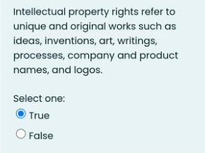 Intellectual property rights refer to
unique and original works such as
ideas, inventions, art, writings,
processes, company and product
names, and logos.
Select one:
True
O False
