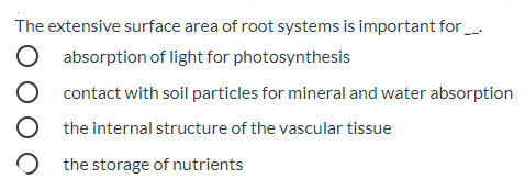 The extensive surface area of root systems is important for_.
absorption of light for photosynthesis
contact with soil particles for mineral and water absorption
the internal structure of the vascular tissue
the storage of nutrients
