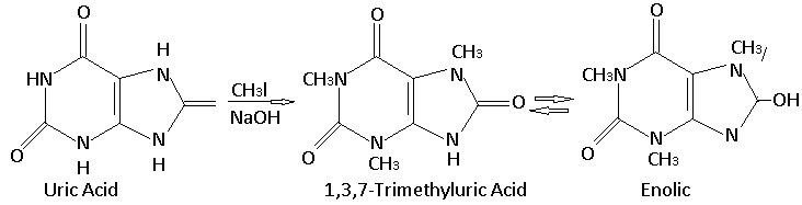 H
CH3
CH3
HN
CH3N
N.
CH:N
CH3I
-ОН
NaOH
N'
N'
N-
N'
N'
N'
H
H
CH3
H
CH3
Uric Acid
1,3,7-Trimethyluric Acid
Enolic
