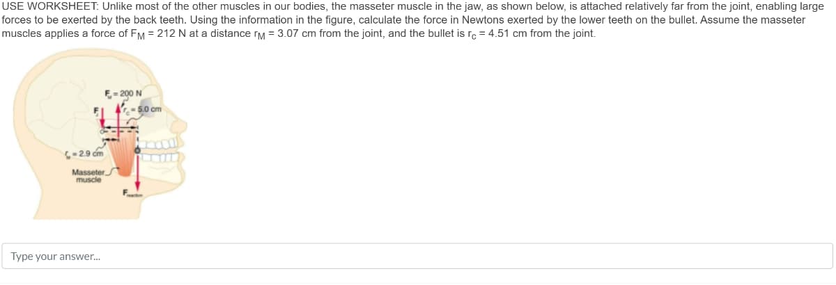 USE WORKSHEET: Unlike most of the other muscles in our bodies, the masseter muscle in the jaw, as shown below, is attached relatively far from the joint, enabling large
forces to be exerted by the back teeth. Using the information in the figure, calculate the force in Newtons exerted by the lower teeth on the bullet. Assume the masseter
muscles applies a force of FM = 212 N at a distance M = 3.07 cm from the joint, and the bullet is rc = 4.51 cm from the joint.
F= 200 N
-2.9 cm
Masseter
muscle
Type your answer...
5.0 cm
MUFF