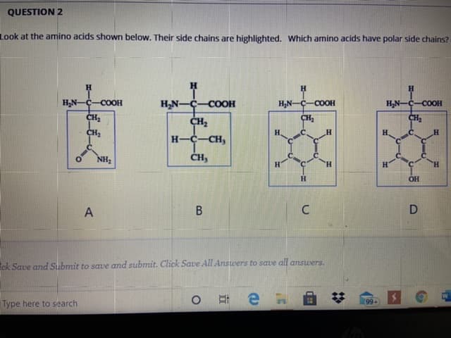 Look at the amino acids shown below. Their side chains are highlighted, Which amino acids have polar side chains?
***
H,N-Ç-COOH
H,N-
C-COOH
COOH
H,N-C-COOH
CH2
CH,
H.
H-C-CH,
NH3
ČH,
H.
H.
OH
В
