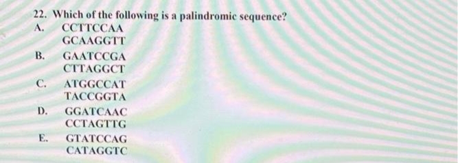 22. Which of the following is a palindromic sequence?
A. CCTTCCAA
GCAAGGTT
B. GAATCCGA
CTTAGGCT
C. ATGGCCAT
TACCGGTA
D. GGATCAAC
CCTAGTTG
E. GTATCCAG
CATAGGTC