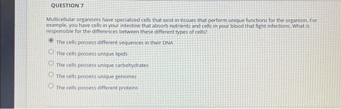 QUESTION 7
Multicellular organisms have specialized cells that exist in tissues that perform unique functions for the organism. For
example, you have cells in your intestine that absorb nutrients and cells in your blood that fight infections. What is
responsible for the differences between these different types of cells?
The cells possess different sequences in their DNA
The cells possess unique lipids
The cells possess unique carbohydrates
O
The cells possess unique genomes
The cells possess different proteins