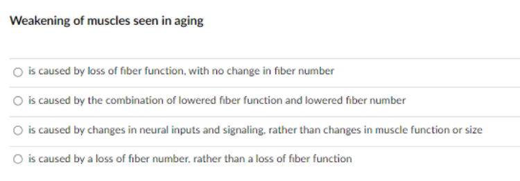 Weakening of muscles seen in aging
is caused by loss of fiber function, with no change in fiber number
O is caused by the combination of lowered fiber function and lowered fiber number
O is caused by changes in neural inputs and signaling, rather than changes in muscle function or size
O is caused by a loss of fiber number, rather than a loss of fiber function
