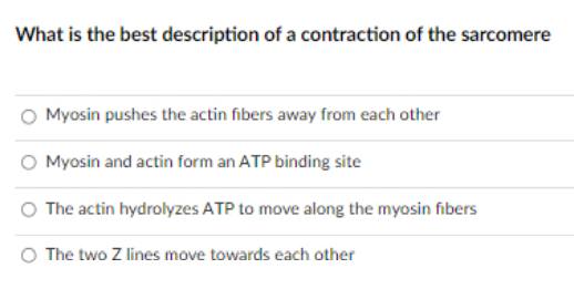 What is the best description of a contraction of the sarcomere
Myosin pushes the actin fibers away from each other
O Myosin and actin form an ATP binding site
The actin hydrolyzes ATP to move along the myosin fibers
O The two Z lines move towards each other
