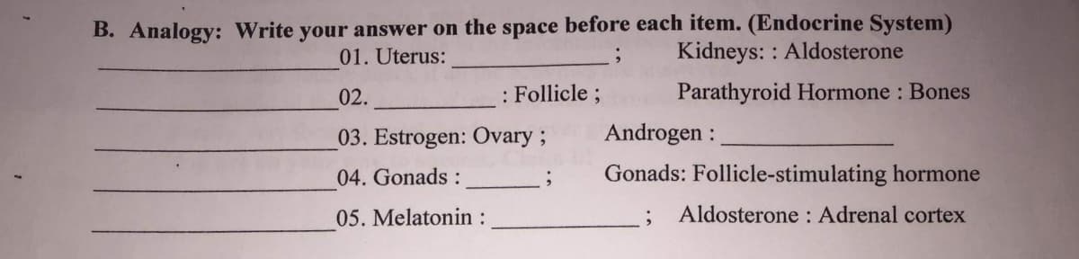 B. Analogy: Write your answer on the space before each item. (Endocrine System)
Kidneys: : Aldosterone
01. Uterus:
02.
: Follicle;
Parathyroid Hormone : Bones
03. Estrogen: Ovary;
Androgen :
04. Gonads :
Gonads: Follicle-stimulating hormone
05. Melatonin :
Aldosterone : Adrenal cortex
