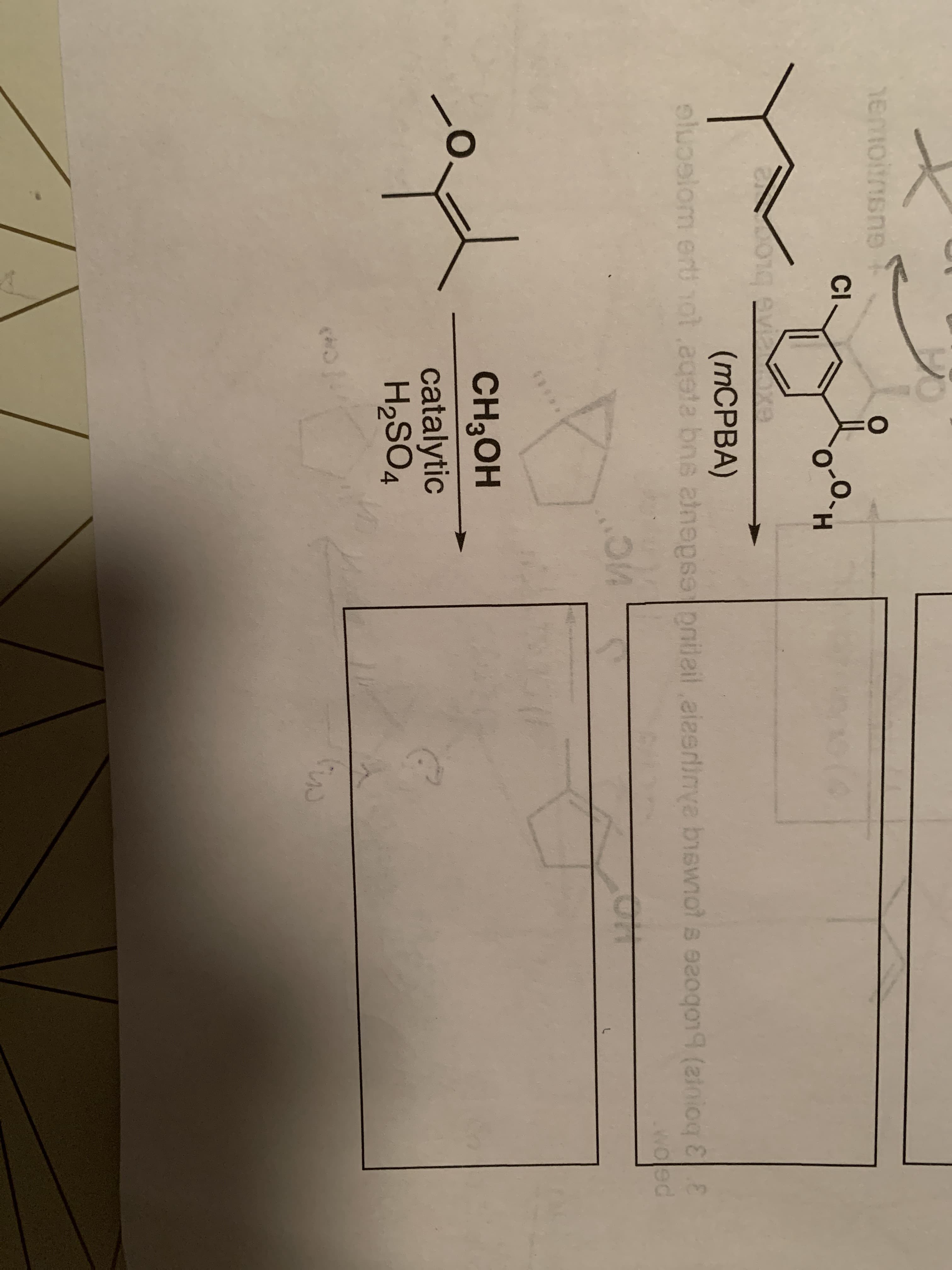 GUSUIN
CI-
H.
eviaoxe
(MCPBA)
elugelom ert notageta brs ainepse pnileil
elom ert not eg
CH3OH
catalytic
H2SO4
