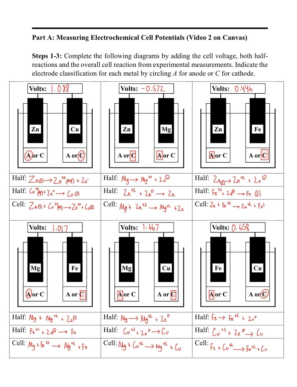 Part A: Measuring Electrochemical Cell Potentials (Video 2 on Canvas)
Steps 1-3: Complete the following diagrams by adding the cell voltage, both half-
reactions and the overall cell reaction from experimental measurements. Indicate the
electrode classification for each metal by circling A for anode or C for cathode.
Volts: 088
Volts: -0.572
Volts: 0.446
Zn
A or C
Cell:
Half: Zn(s)→2
(aq) + Ze
Half: Cu+ 2e
(u (5)
Cell: Zn(s) + Cu)→→ Zn²+ + (u(s)
Volts: 1.017
Mg
or C
Cu
A or C
• Mg + fe ²7.
+2
Half: Mg + Mg
Half: Fe2+2 → Fe
Fe
A or
+ 2e0
+2
Муж + Fe
Zn
A or C
Cell: Mg + 2n
2+
Half: Mg→ Mg ¹ + 2
Half: 2+²+2
Mg
+2
A or C
Mg
A or C
Volts: 1.667
→ 2n
- Mg +² +2n
Cu
A or
Half: Mg Mg+Leº
Half: C220 Co
Cell: Mg + Cut Mg2+ Cu
Zn
A or C
Half: 22n+² +2e
Half: Fe2+ 2Fe (S)
Cell: 2+ Fe22n+²+ Fel
Volts: 0.658
Fe
A or C
Fe
A or C
Fe + Cut_
Cu
A or C
Half: Fe→ +Z + 20°
Half: +² +2e
+2
Cell:
lu
→ Fet² + Cu