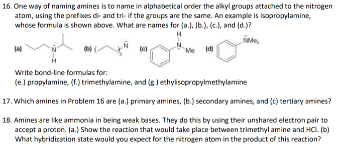 16. One way of naming amines is to name in alphabetical order the alkyl groups attached to the nitrogen
atom, using the prefixes di- and tri- if the groups are the same. An example is isopropylamine,
whose formula is shown above. What are names for (a.), (b.), (c.), and (d.)?
H
NMe,
(a)
(b)
(c)
Me (d)
Write bond-line formulas for:
(e.) propylamine, (f.) trimethylamine, and (g.) ethylisopropylmethylamine
17. Which amines in Problem 16 are (a.) primary amines, (b.) secondary amines, and (c) tertiary amines?
18. Amines are like ammonia in being weak bases. They do this by using their unshared electron pair to
accept a proton. (a.) Show the reaction that would take place between trimethyl amine and HCI. (b)
What hybridization state would you expect for the nitrogen atom in the product of this reaction?
