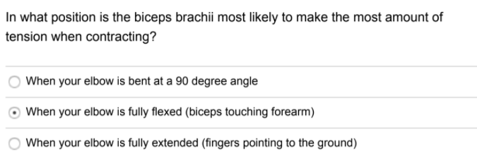 In what position is the biceps brachii most likely to make the most amount of
tension when contracting?
When your elbow is bent at a 90 degree angle
When your elbow is fully flexed (biceps touching forearm)
When your elbow is fully extended (fingers pointing to the ground)
