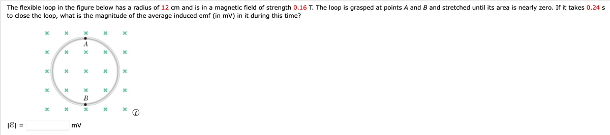 The flexible loop in the figure below has a radius of 12 cm and is in a magnetic field of strength 0.16 T. The loop is grasped at points A and B and stretched until its area is nearly zero. If it takes 0.24 s
to close the loop, what is the magnitude of the average induced emf (in mV) in it during this time?
|E| =
*
X
x
x
X
X
X
X
mV
X-AX
A
x
XBOX
B
x
X
x
x
X