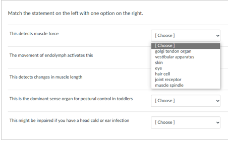 Match the statement on the left with one option on the right.
This detects muscle force
The movement of endolymph activates this
This detects changes in muscle length
This is the dominant sense organ for postural control in toddlers
This might be impaired if you have a head cold or ear infection
[Choose]
[Choose]
golgi tendon organ
vestibular apparatus
skin
eye
hair cell
joint receptor
muscle spindle
[Choose]
[Choose ]