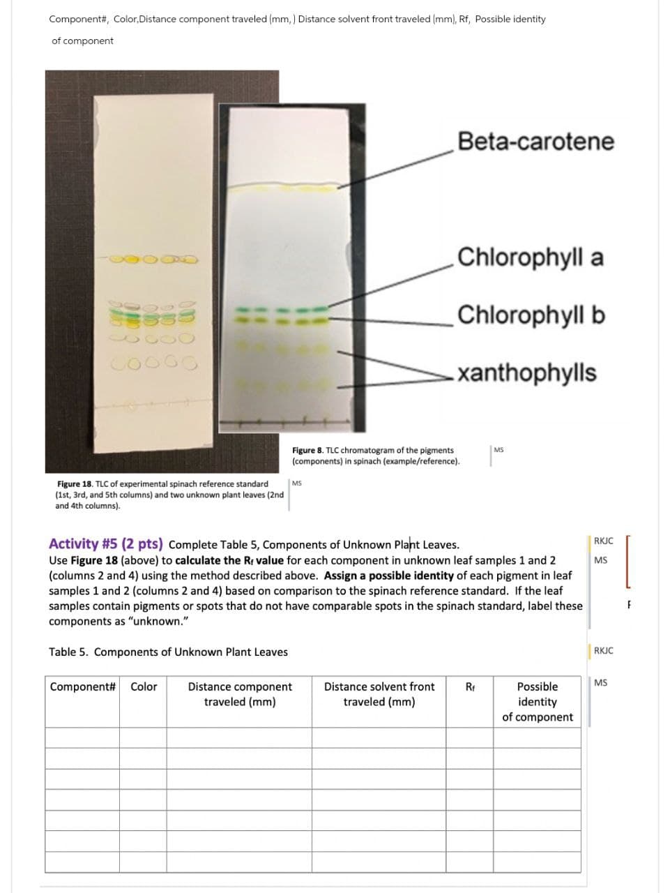 Component#, Color, Distance component traveled (mm) Distance solvent front traveled (mm), Rf, Possible identity
of component
000
Beta-carotene
Chlorophyll a
Chlorophyll b
xanthophylls
Figure 8. TLC chromatogram of the pigments
(components) in spinach (example/reference).
MS
Figure 18. TLC of experimental spinach reference standard
(1st, 3rd, and 5th columns) and two unknown plant leaves (2nd
and 4th columns).
MS
Activity #5 (2 pts) Complete Table 5, Components of Unknown Plant Leaves.
Use Figure 18 (above) to calculate the Rr value for each component in unknown leaf samples 1 and 2
(columns 2 and 4) using the method described above. Assign a possible identity of each pigment in leaf
samples 1 and 2 (columns 2 and 4) based on comparison to the spinach reference standard. If the leaf
samples contain pigments or spots that do not have comparable spots in the spinach standard, label these
components as "unknown."
Table 5. Components of Unknown Plant Leaves
RKJC
MS
RKJC
F
Component# Color
Distance component
traveled (mm)
Distance solvent front
Rf
traveled (mm)
Possible
identity
of component
MS