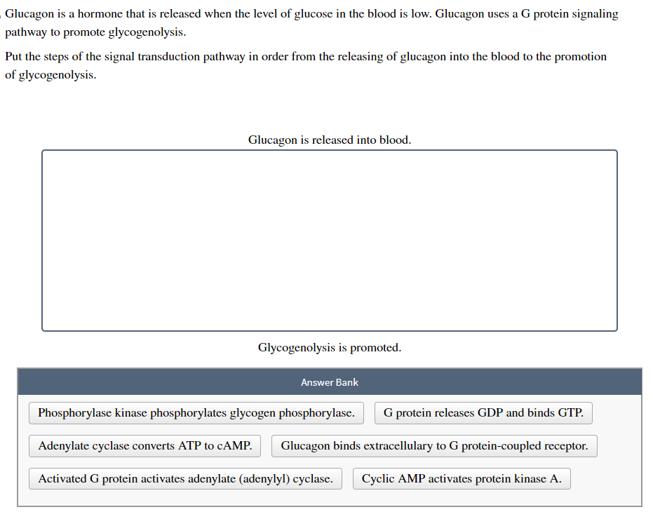 Glucagon is a hormone that is released when the level of glucose in the blood is low. Glucagon uses a G protein signaling
pathway to promote glycogenolysis.
Put the steps of the signal transduction pathway in order from the releasing of glucagon into the blood to the promotion
of glycogenolysis.
Glucagon is released into blood.
Glycogenolysis is promoted.
Answer Bank
Phosphorylase kinase phosphorylates glycogen phosphorylase.
Adenylate cyclase converts ATP to cAMP. Glucagon binds extracellulary to G protein-coupled receptor.
Activated G protein activates adenylate (adenylyl) cyclase. Cyclic AMP activates protein kinase A.
G protein releases GDP and binds GTP.