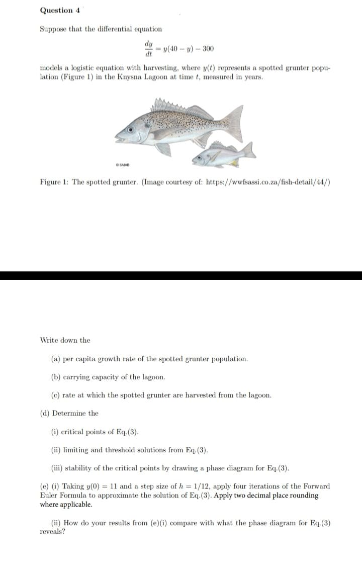 Question 4
Suppose that the differential equation
dy
dt
models a logistic equation with harvesting, where y(t) represents a spotted grunter popu-
lation (Figure 1) in the Knysna Lagoon at time t, measured in years.
= y(40-y)- 300
© SALAB
Write down the
Figure 1: The spotted grunter. (Image courtesy of: https://wwfsassi.co.za/fish-detail/44/)
(a) per capita growth rate of the spotted grunter population.
(b) carrying capacity of the lagoon.
(c) rate at which the spotted grunter are harvested from the lagoon.
(d) Determine the
(i) critical points of Eq. (3).
(ii) limiting and threshold solutions from Eq. (3).
(iii) stability of the critical points by drawing a phase diagram for Eq. (3).
(e) (i) Taking y(0) = 11 and a step size of h = 1/12, apply four iterations of the Forward
Euler Formula to approximate the solution of Eq. (3). Apply two decimal place rounding
where applicable.
(ii) How do your results from (e) (i) compare with what the phase diagram for Eq. (3)
reveals?