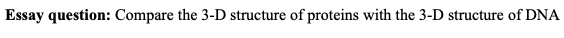 Essay question: Compare the 3-D structure of proteins with the 3-D structure of DNA
