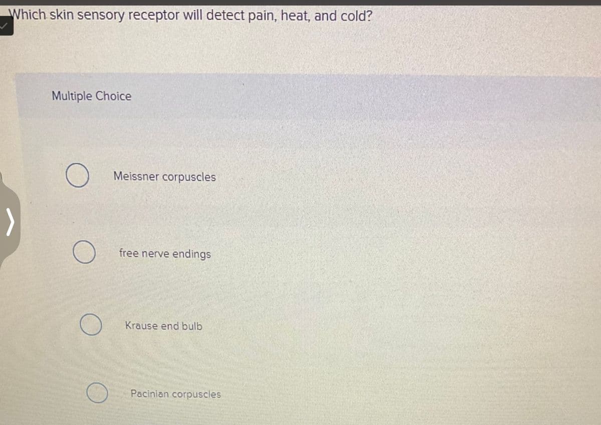 Which skin sensory receptor will detect pain, heat, and cold?
Multiple Choice
O
O
Meissner corpuscles
free nerve endings
Krause end bulb
Pacinian corpuscles